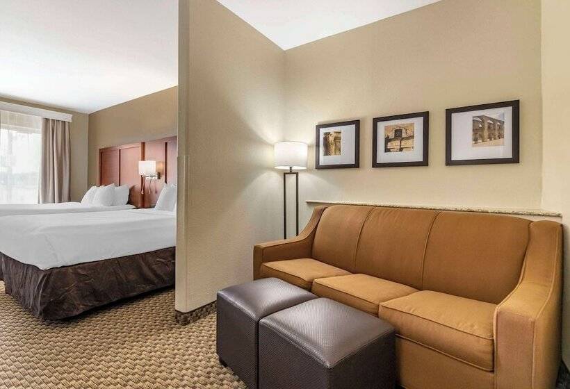 套房, Comfort Suites Medical Center Near Six Flags