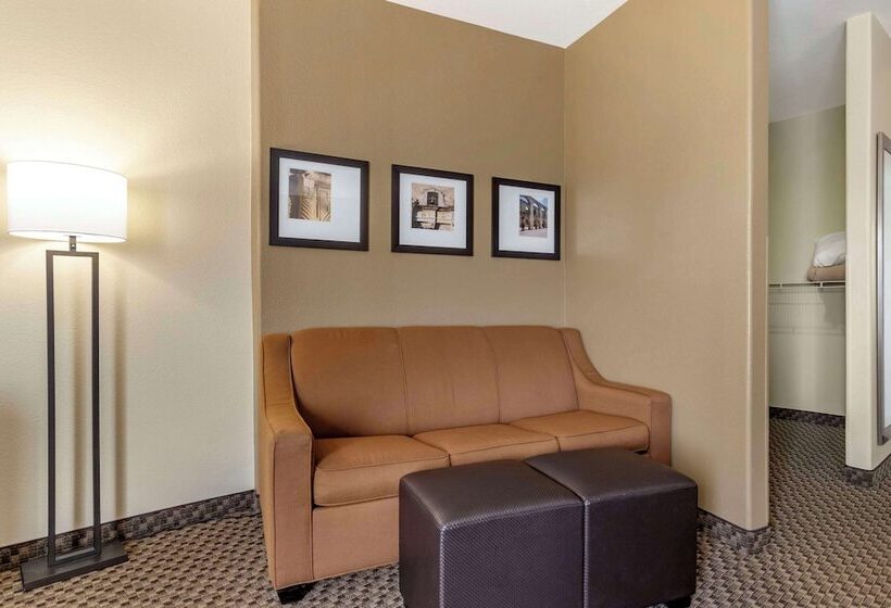 套房, Comfort Suites Medical Center Near Six Flags