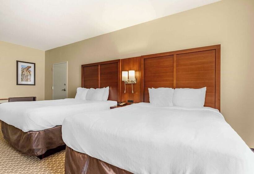套房, Comfort Suites Medical Center Near Six Flags