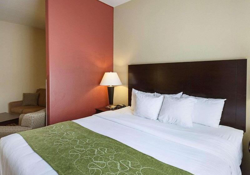 带大床的套房, Comfort Suites Medical Center Near Six Flags