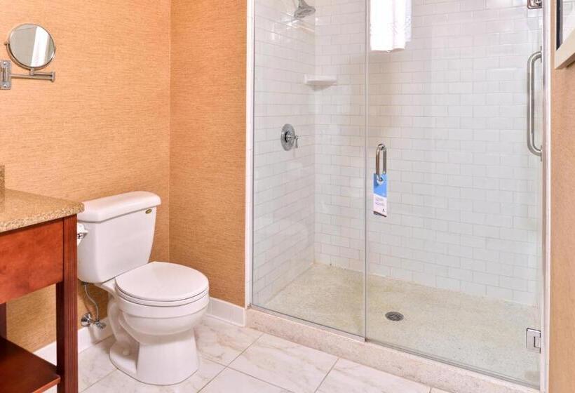 Стандартный Номер Кровать Кинг, Fairfield Inn & Suites By Marriott Albany Downtown
