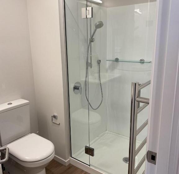 Стандартный Номер Кровать Кинг, Wyndham Garden Christchurch Kilmore Street