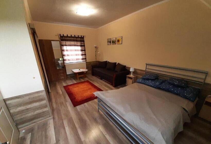 Апартаменты 1 Спальня с Видом, Fónagy Apartmanok
