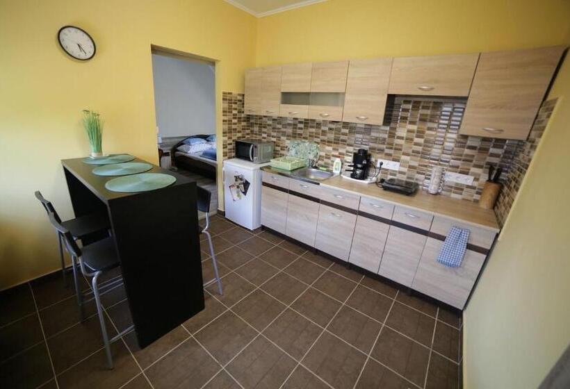 Апартаменты 1 Спальня с Видом, Fónagy Apartmanok