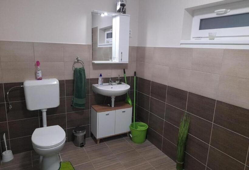 Апартаменты 1 Спальня Нижний Этаж, Fónagy Apartmanok