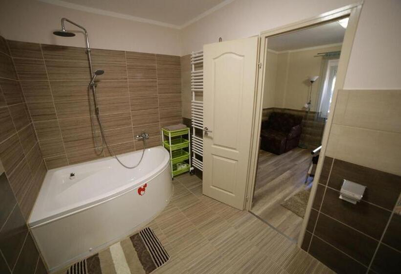 Апартаменты 1 Спальня Нижний Этаж, Fónagy Apartmanok
