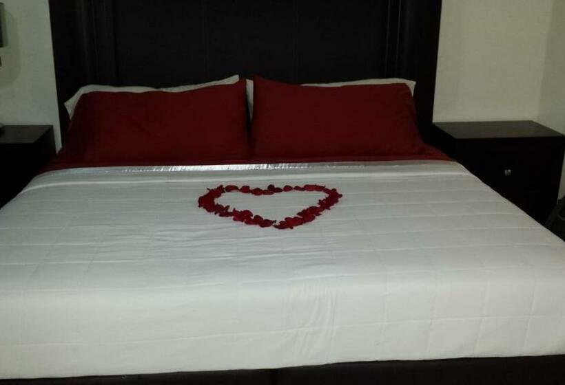 آپارتمان لوکس 1 خوابه, Premier Hotel Suites