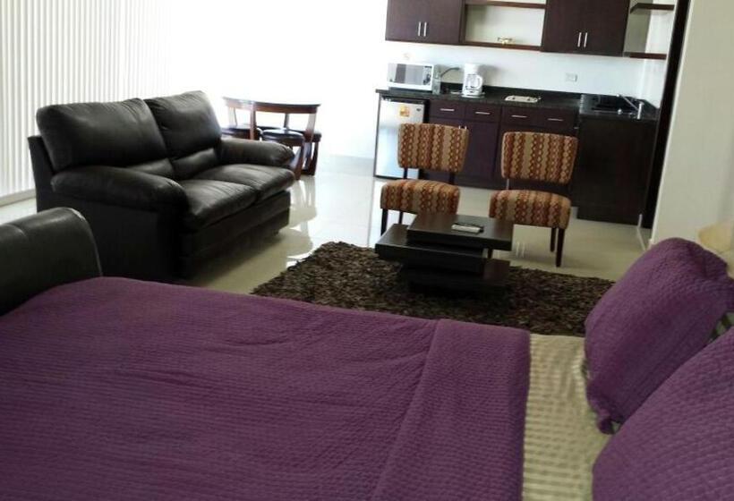 آپارتمان سوپریور 1 خوابه, Premier Hotel Suites