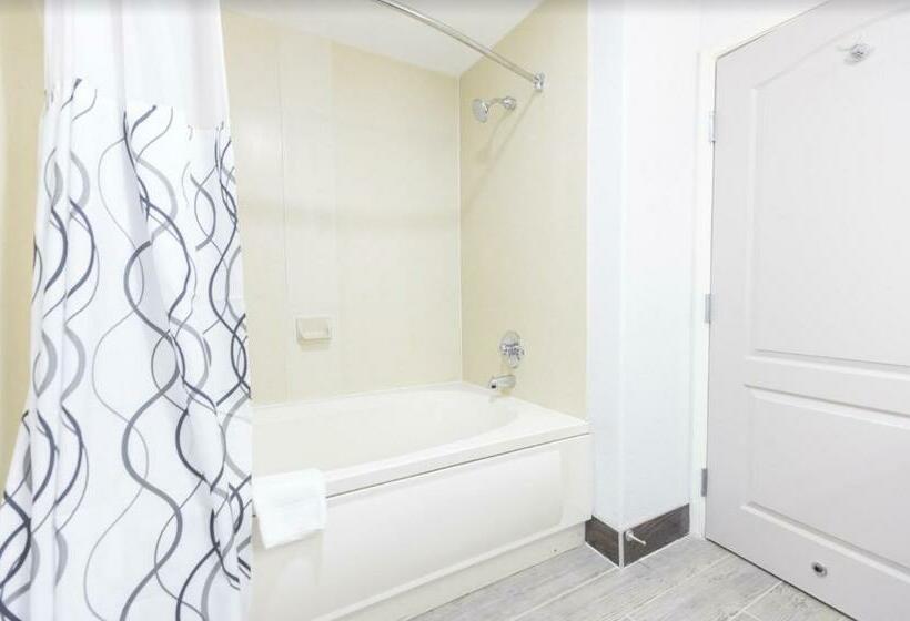 Люкс, The Leo Collection Detroit, Ascend Hotel Collection