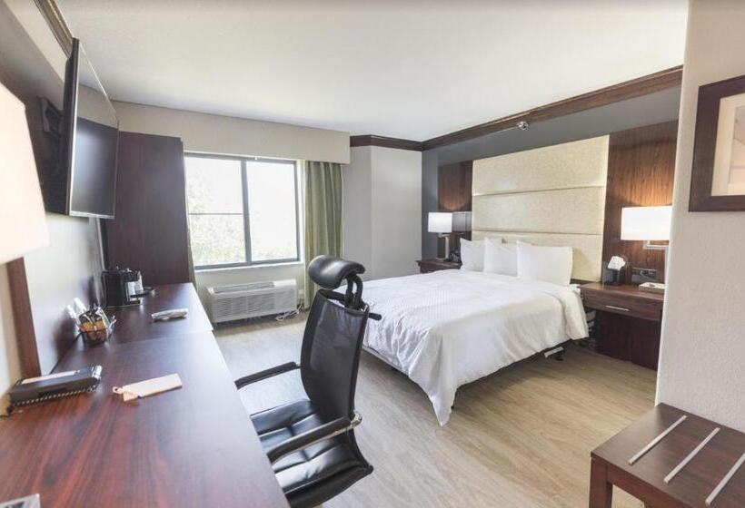Номер Стандарт Адаптированный для Инвалидов, The Leo Collection Detroit, Ascend Hotel Collection