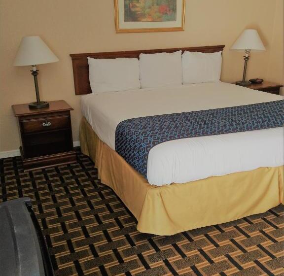 חדר דחוקס עם מיטת קינג, Grandview Plaza Inn