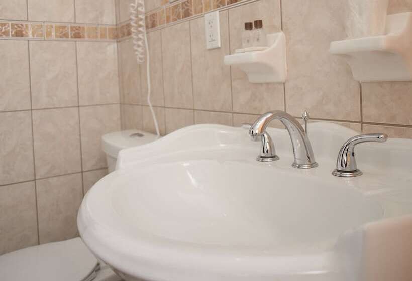اتاق استاندارد با 2 تخت دوبل, St. James