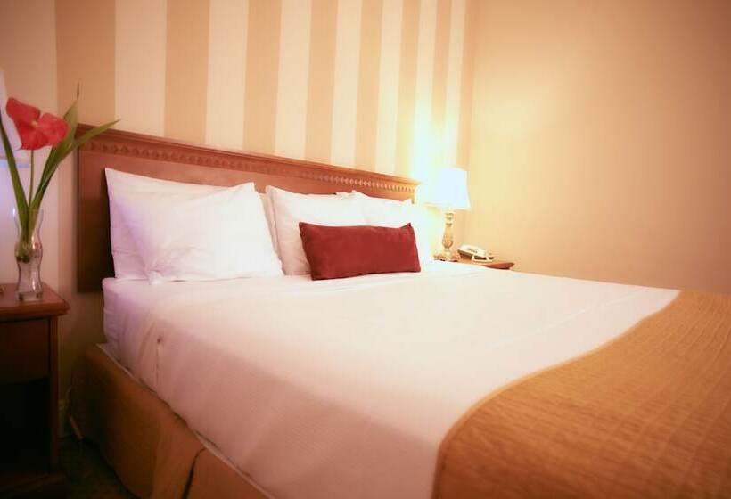 اتاق استاندارد با تخت دوبل, St. James
