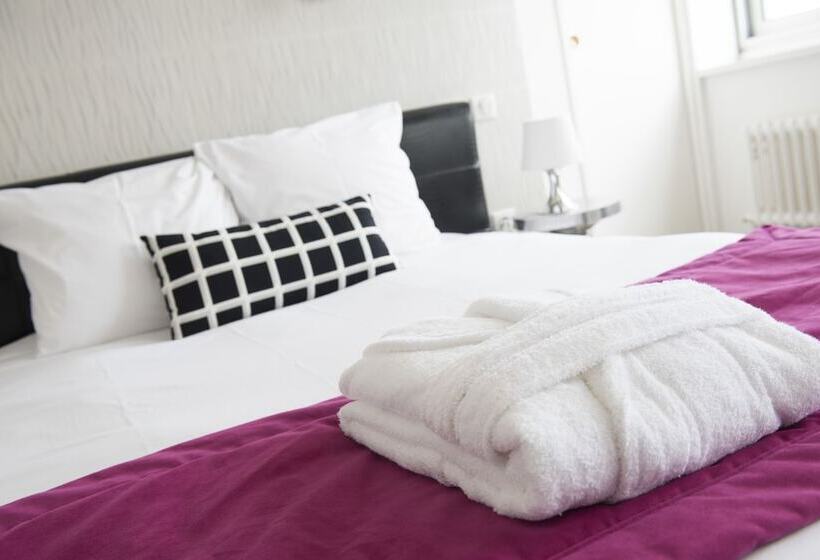 اتاق استاندارد, The Originals City, Hôtel Le Concorde Panoramique, Thionville