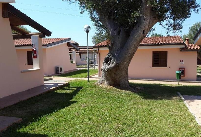 Студия Стандарт, Cilento Dreams Village