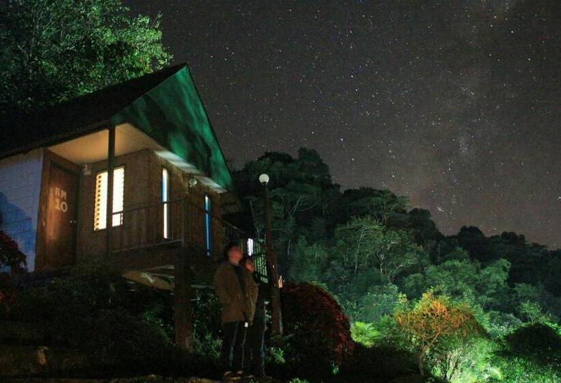 Четырехместный Номер Стандарт, Phumork Camp Phu Chi Fa