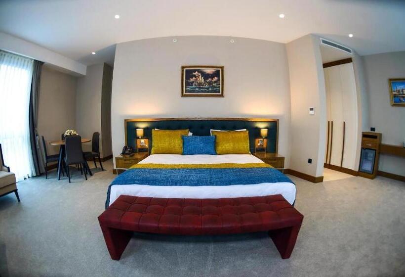 اتاق سوپریور با تخت بزرگ, Cher Hotel & Spa Istanbul Taksim