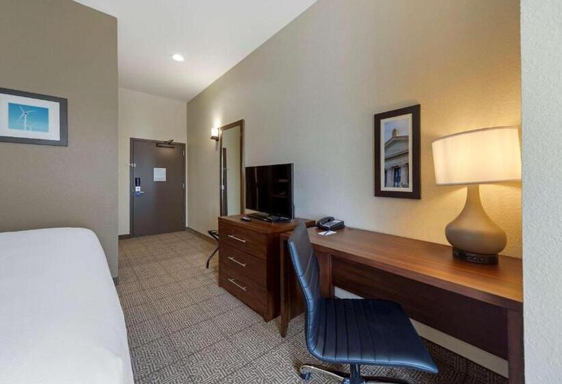 Номер Стандарт Кровать Кинг Адаптированный для Инвалидов, Comfort Inn & Suites Harrah