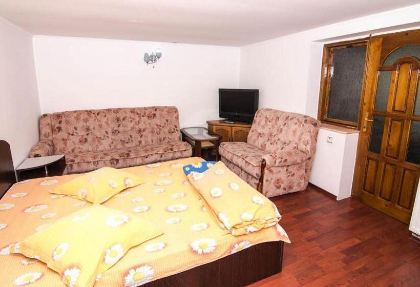 اتاق استاندارد با تخت بزرگ, Casa Olanesti