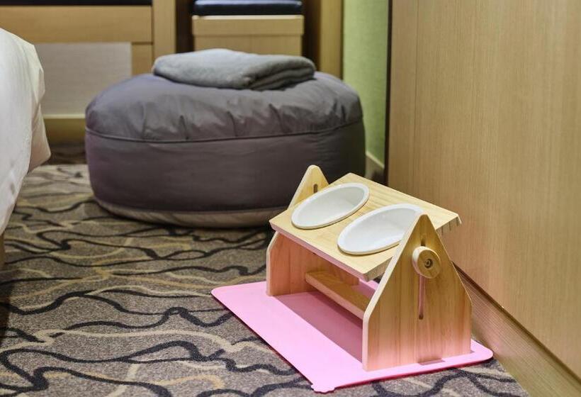 اتاق لوکس, Jeju Grace