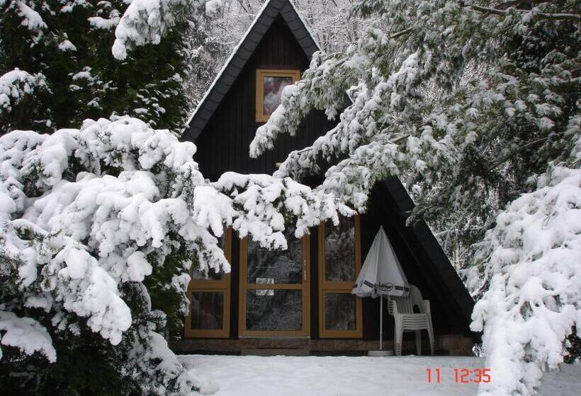 Хижина, Reifenstein
