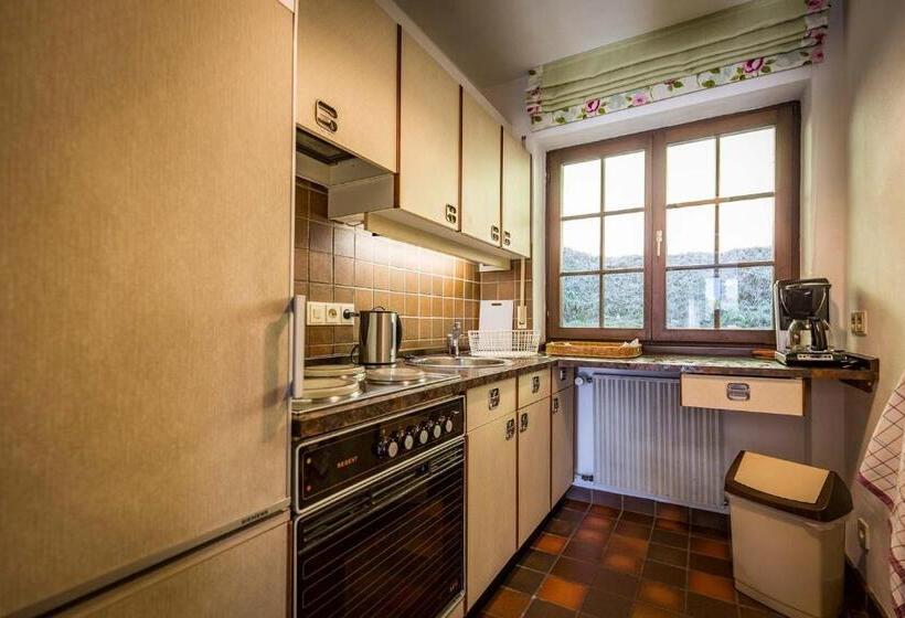 Апартаменты 1 Спальня с Террасой, Landhotel Sonnleiten