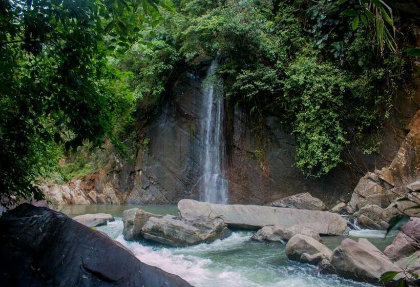 Номер Стандарт Вид на Бассейн, Jungle River