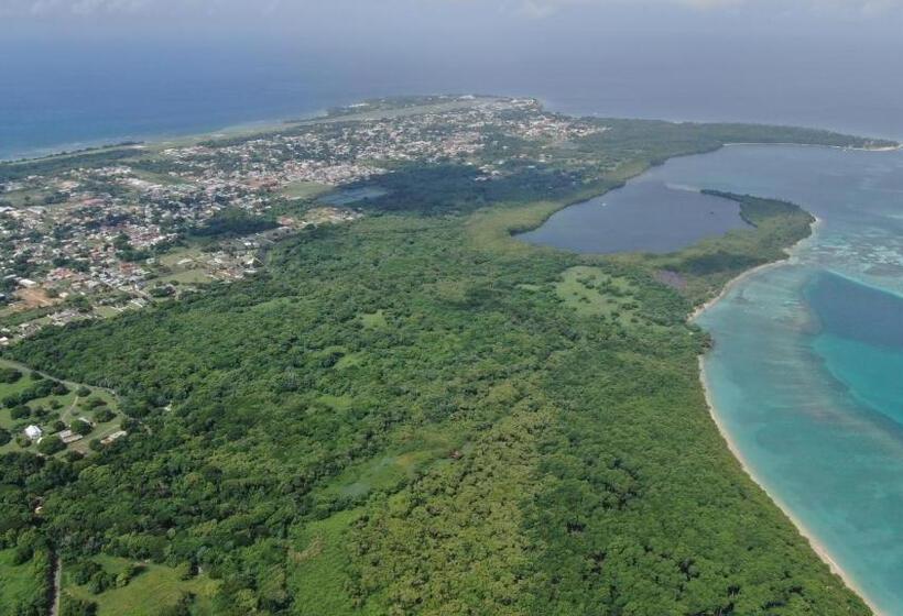 استودیوی استاندارد, Carolina Point Resort