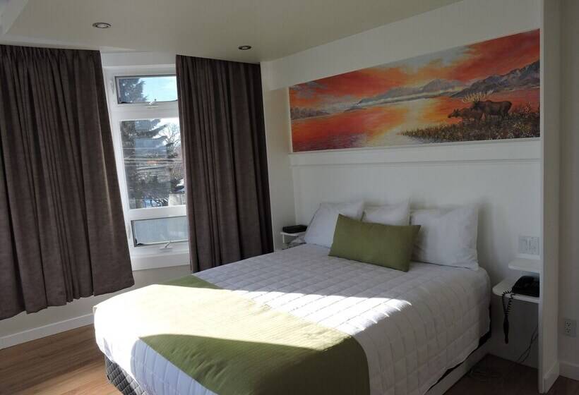 Люкс Повышенной Комфортности, Almo Court Motel