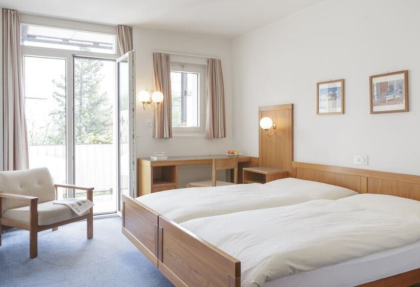 经济房, Schweizerhof Sils Maria