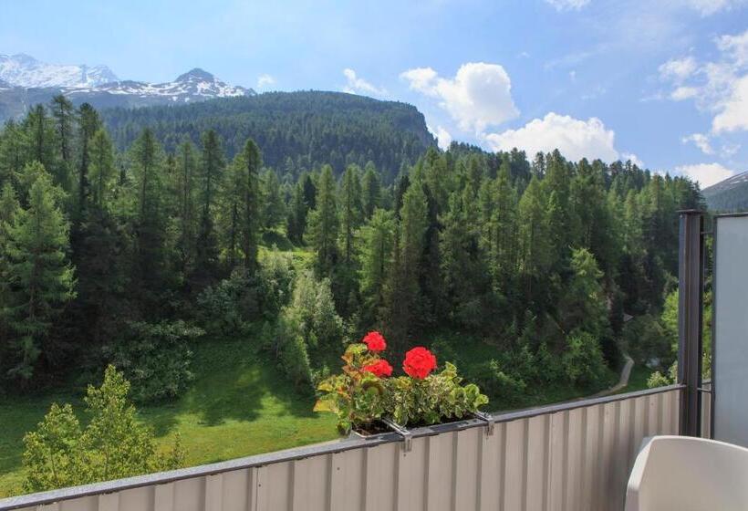标准单人间, Schweizerhof Sils Maria