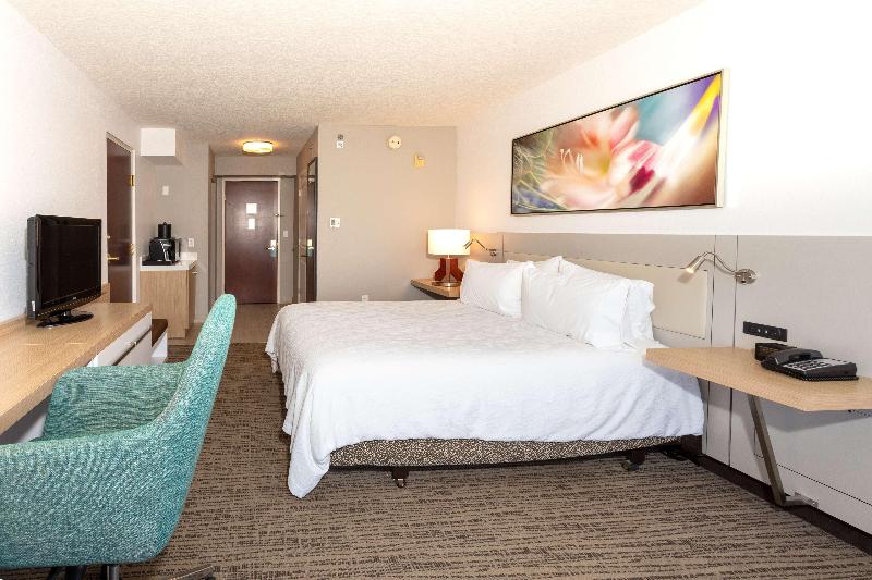 اتاق استاندارد با تخت بزرگ, Hilton Garden Inn Daytona Beach Airport