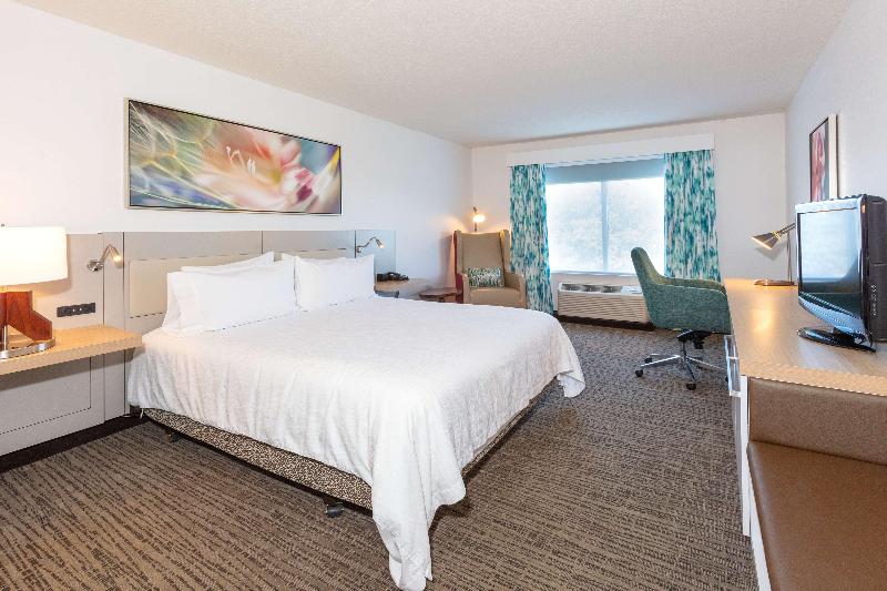 اتاق استاندارد با تخت بزرگ, Hilton Garden Inn Daytona Beach Airport