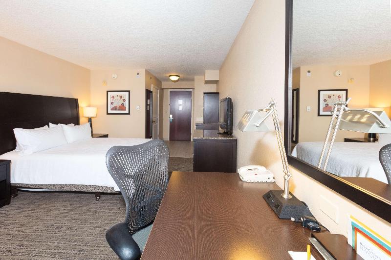 اتاق استاندارد با تخت بزرگ, Hilton Garden Inn Daytona Beach Airport