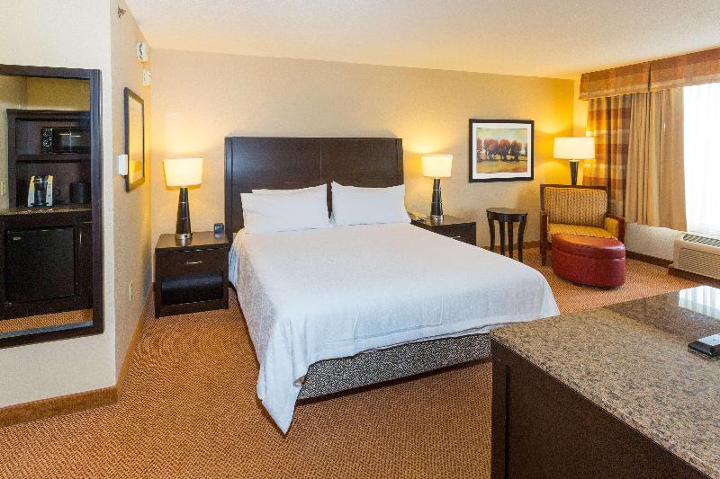 اتاق استاندارد با تخت بزرگ, Hilton Garden Inn Daytona Beach Airport