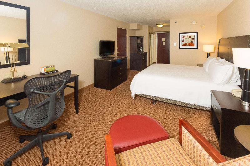 اتاق استاندارد با تخت بزرگ, Hilton Garden Inn Daytona Beach Airport