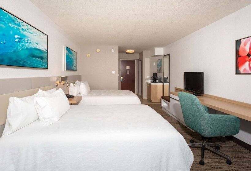 اتاق استاندارد, Hilton Garden Inn Daytona Beach Airport