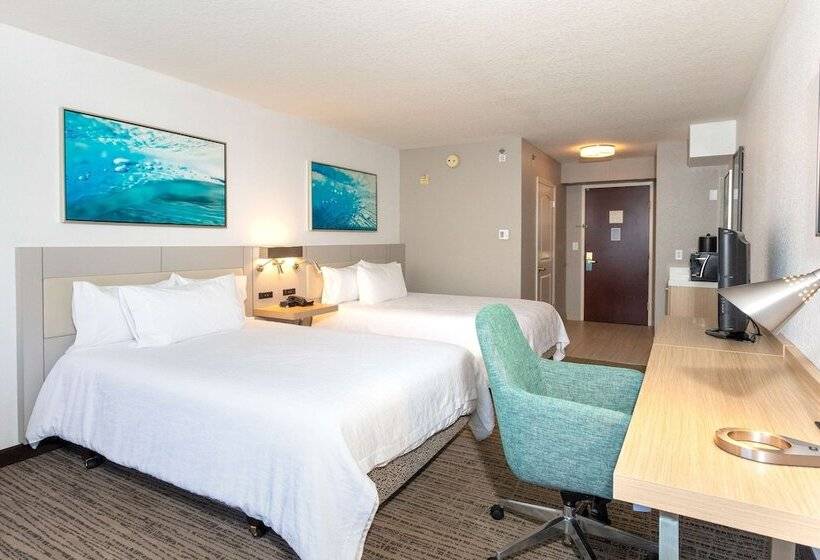 اتاق استاندارد, Hilton Garden Inn Daytona Beach Airport