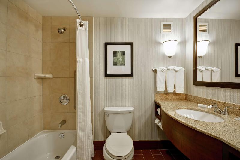 스탠다드 룸 킹사이즈 침대, Hilton Garden Inn Fort Collins