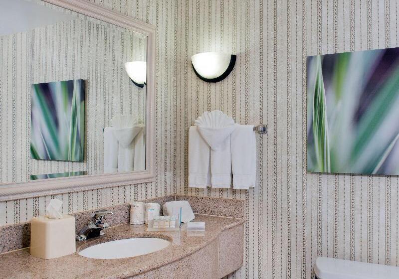 キングサイズベッドのスタンダードルーム, Hilton Garden Inn Rock Hill