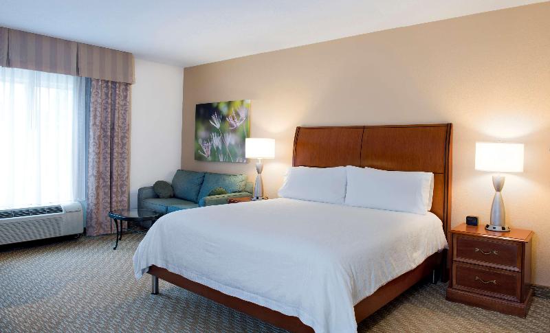 キングサイズベッドのデラックスルーム, Hilton Garden Inn Rock Hill