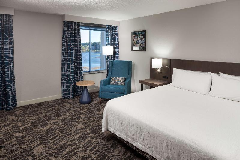キングサイズベッドのスタンダードルーム, Hilton Garden Inn Savannah Airport