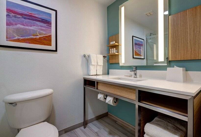 Люкс, Hilton Garden Inn Tampa Northwest/oldsmar