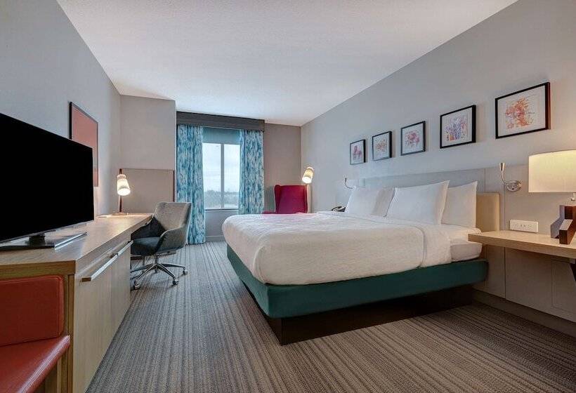 Номер Стандарт, Hilton Garden Inn Tampa Northwest/oldsmar