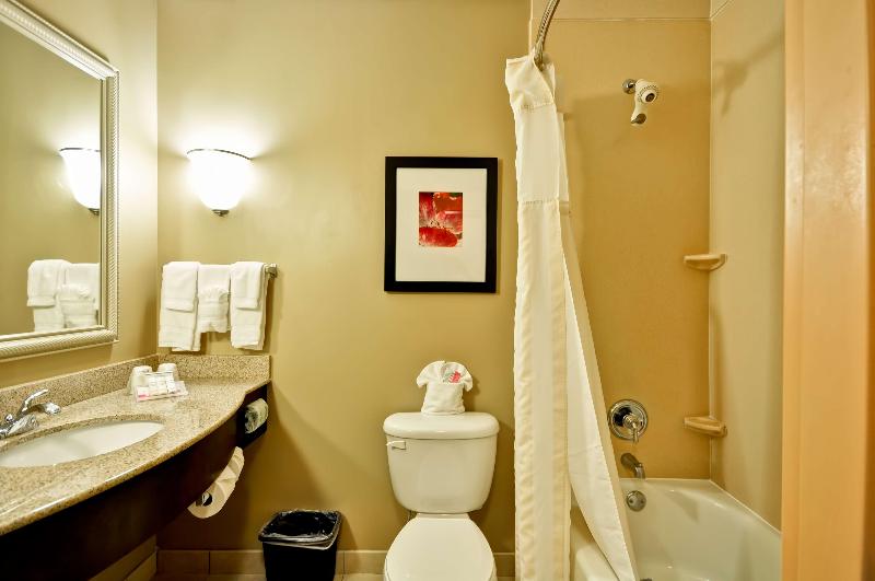 Люкс, Hilton Garden Inn Tampa Northwest/oldsmar