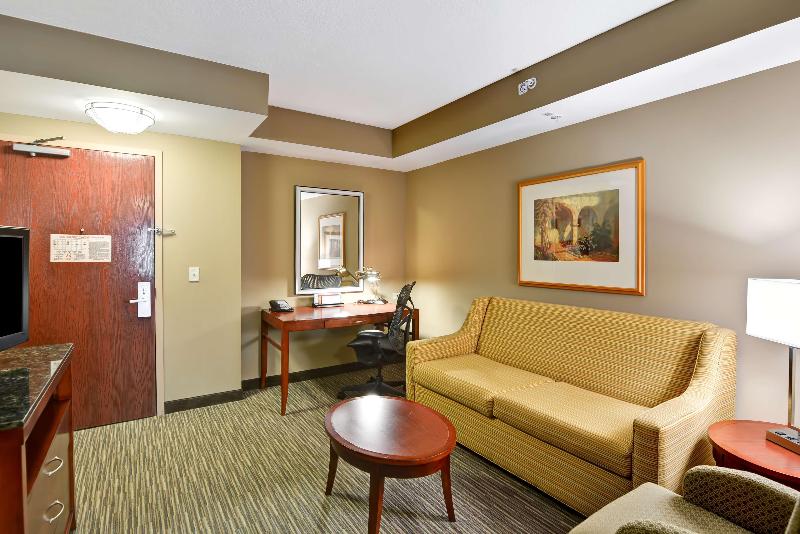 Люкс Кровать Кинг, Hilton Garden Inn Tampa Northwest/oldsmar