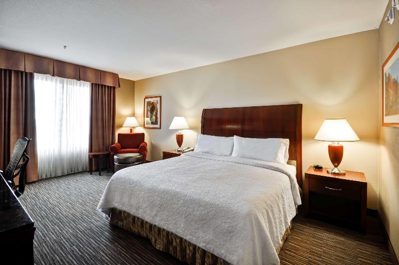 Стандартный Номер Кровать Кинг, Hilton Garden Inn Tampa Northwest/oldsmar