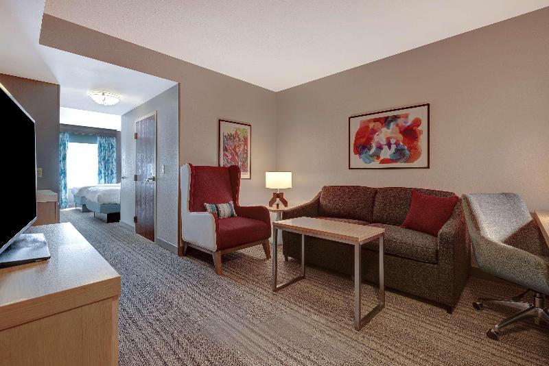 Люкс, Hilton Garden Inn Tampa Northwest/oldsmar