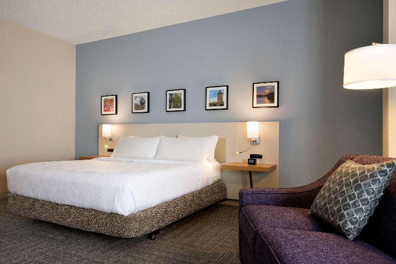 스탠다드 룸 킹사이즈 침대, Hilton Garden Inn Wilkes Barre