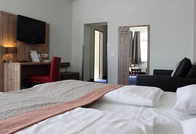 Номер Стандарт Индивидуальный, Rathaushotels Oberwiesenthal All Inclusive